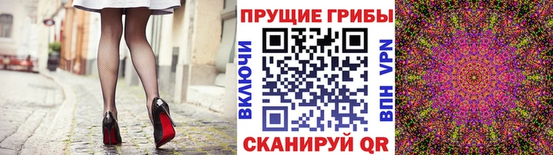 Псилоцибиновые грибы Psilocybine cubensis  Купить где  Задонск 